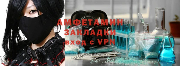 гидра Богородицк