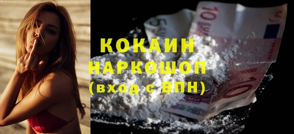 мдпв Богородск