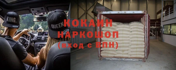 мдпв Богородск