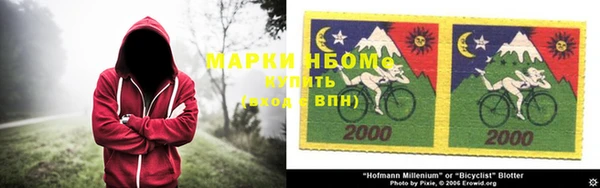 мдпв Богородск