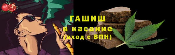 гидра Богородицк