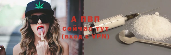 гидра Богородицк