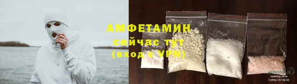 мдпв Богородск