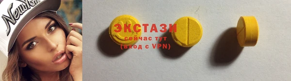 гидра Богородицк