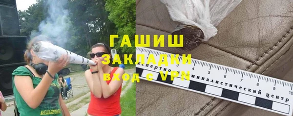 гидра Богородицк