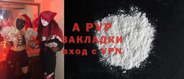гидра Богородицк