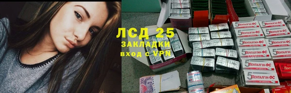 мдпв Богородск