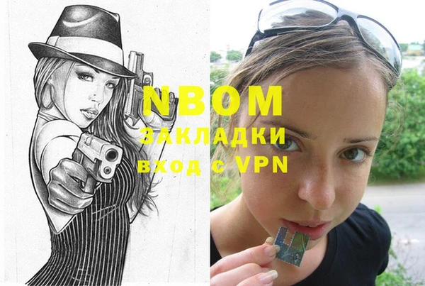 гидра Богородицк