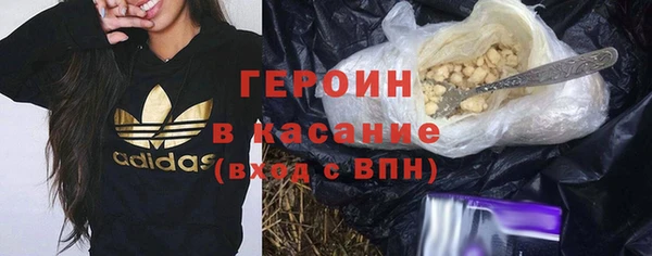 гидра Богородицк